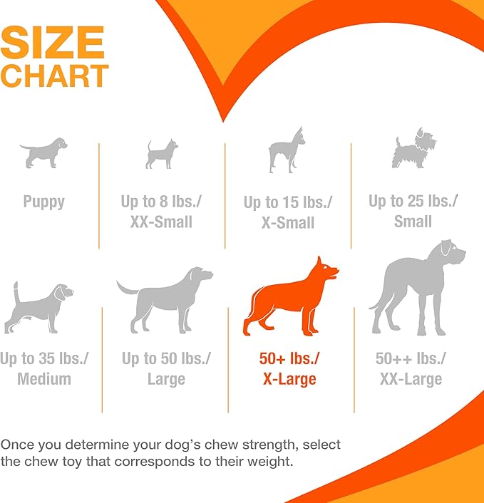 Nylabone Textured Dental Bone Power Chew Toy - Image 6