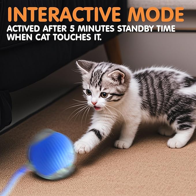 Rocfish Durable Interactive Cat Toys - Image 6