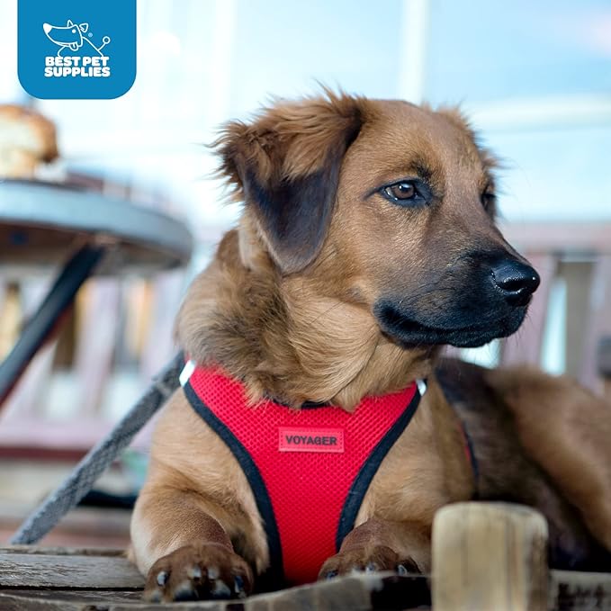 Best Pet Supplies Voyager Step-in Air Harness - Image 9