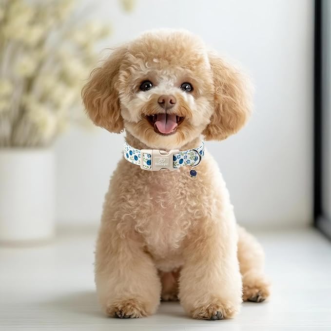 Spring/Summer Dog Collar for Medium Dogs - Image 2
