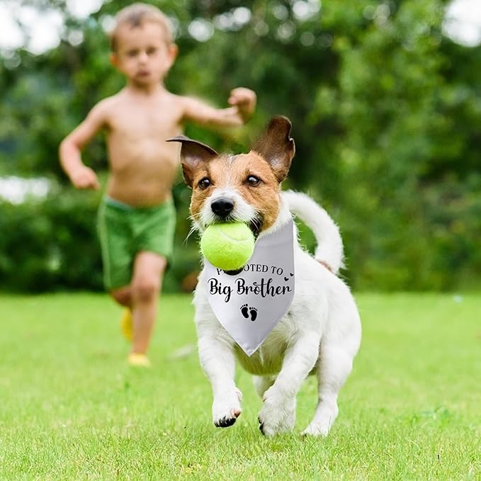 Promoted to Big Brother Pregnancy Announcement Dog Bandana Baby Announcement - Image 5