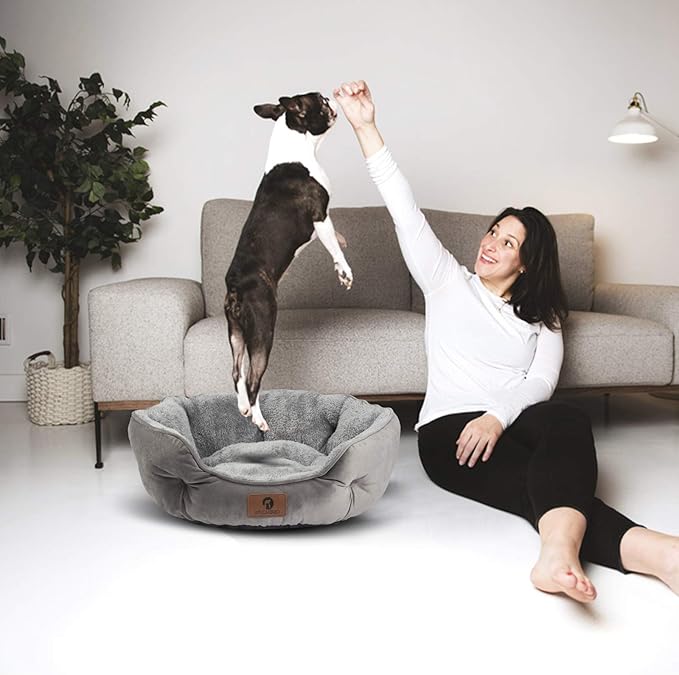 Asvin Large Dog Bed for Large Dogs, Cat Beds for Indoor Cats, Pet Bed for Puppy - Image 6