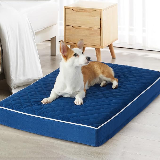 WNPETHOME Orthopedic XXL Dog Beds Large Sized Dog, Waterproof Extra Large Dogs by WNPETHOMEPETSHOME
