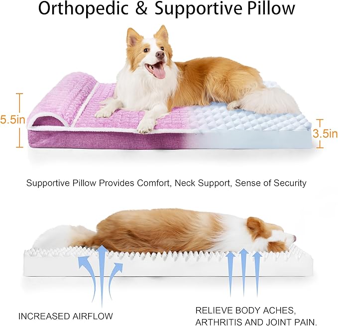 Orthopedic Dog Bed Large Sized Dog - Image 6