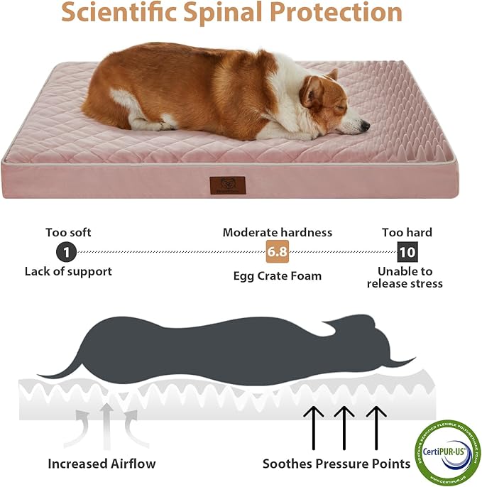 WNPETHOME Orthopedic Big Dog Beds Large Sized Dog, Waterproof Extra Large Dogs - Image 3