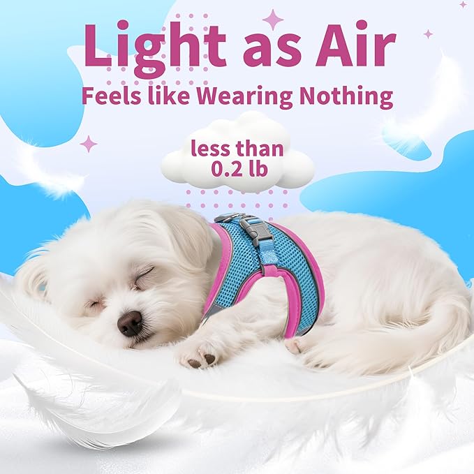 AIITLE Escape Proof Dog Harness - Image 5