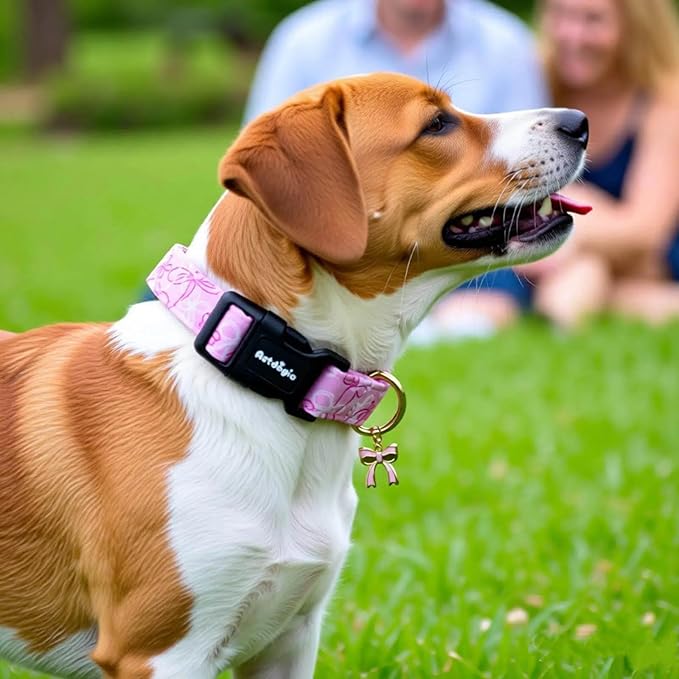 Extra Small Dog Collar, Girl Boy Dog Collars - Image 5
