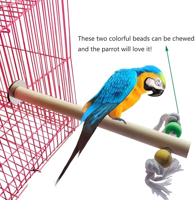 PINVNBY Bird Playground, Wood Parrot Play Gym Stand Perch Bird Cage Accessories - Image 6
