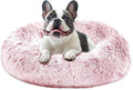 JOLLYVOGUE Calming Dog Bed Large Size Dog, Anti-Anxiety Donut Large Pet Bed by JOLLYVOGUE
