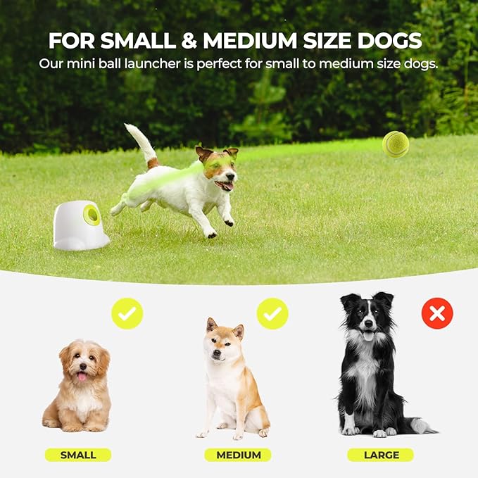 ALL FOR PAWS Original Dog Automatic Ball Launcher for Small and Medium Dogs - Image 4