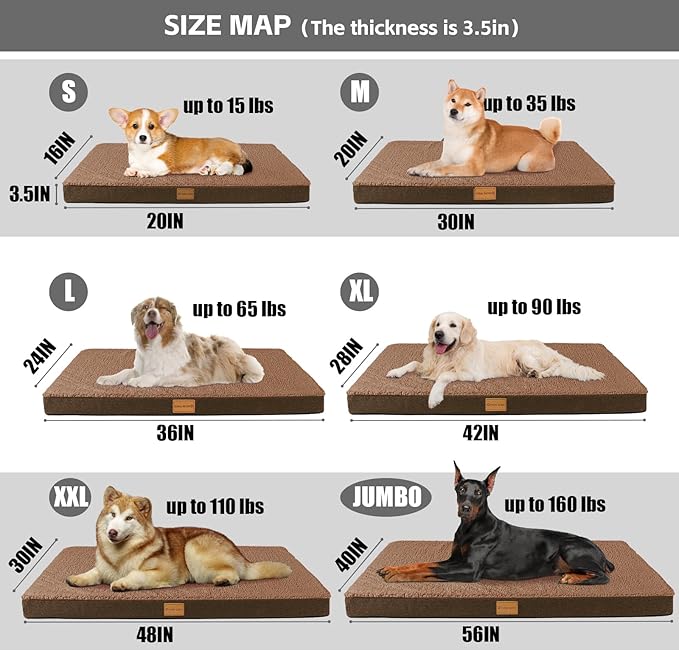 Patas Lague Orthopedic Dog Bed Large Sized Dog 36''X24'', Soft Waterproof Egg - Image 6