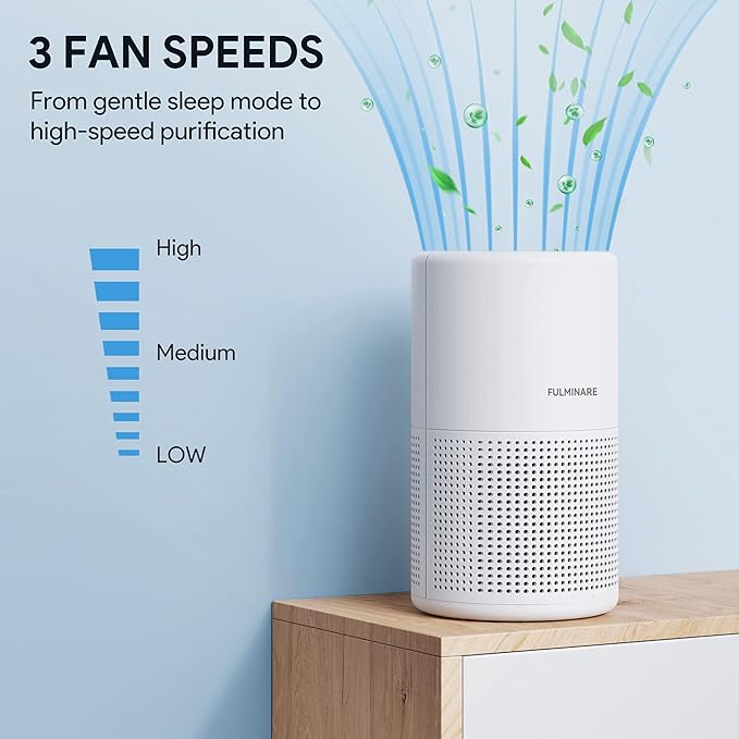 Air Purifiers for Bedroom, FULMINARE H13 True HEPA Air Filter, Quiet Air Cleaner - Image 5
