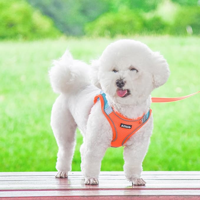 AIITLE Step in Dog Harness and Leash Set - Image 8