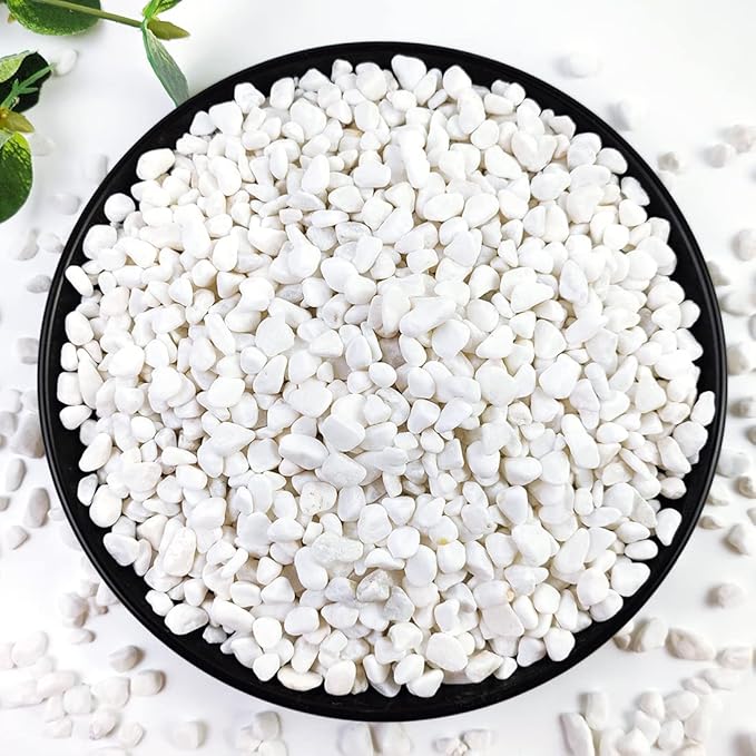 5LB Succulent and Cactus Gravel Pebbles, 1/5 Inch White Natural Decorative by YISZM-ForYourNaturalLife
