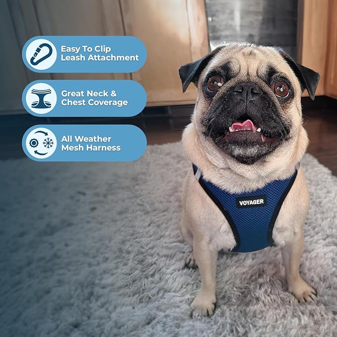 Best Pet Supplies - Image 5
