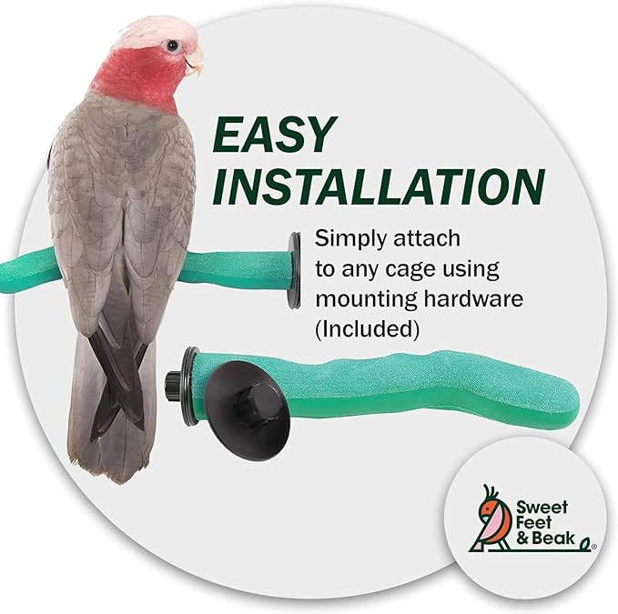 Sweet Feet & Beak Safety Pumice Bird Perch, Medium 1-1/4" X 12" - Image 6