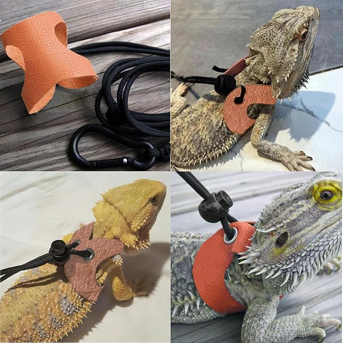 Bearded Dragon Travel Carreir Bag, Guinea Pig Carrier - Image 5