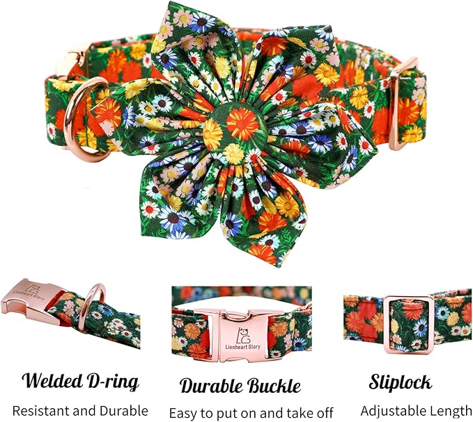 Lionheart Glory Floral Dog Collar - Image 3