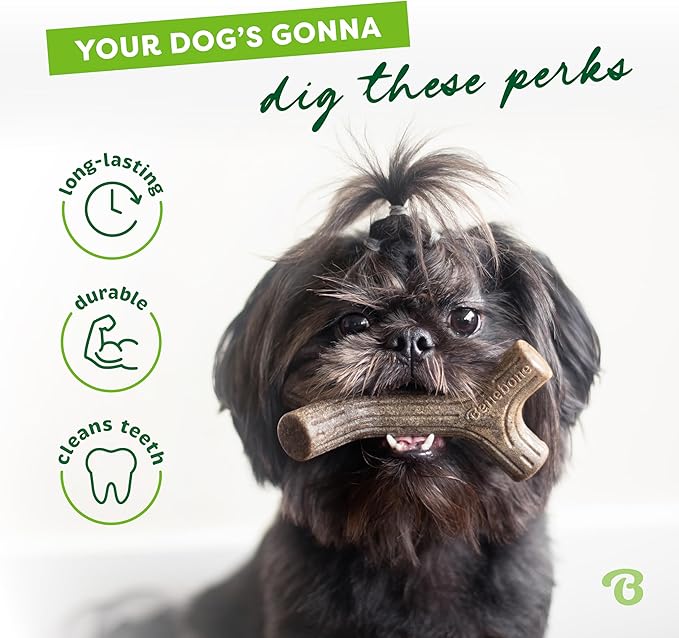 Benebone Bacon Stick Durable Dog Chew Toy - Image 3