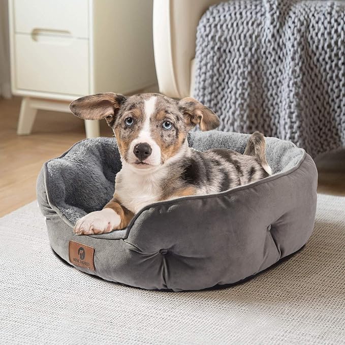 Asvin Small Dog Bed for Small Dogs, Cat Beds for Indoor Cats, Pet Bed for Puppy - Image 2