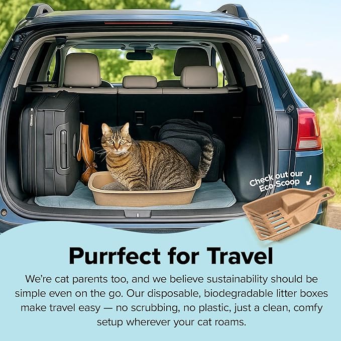 Kitty Sift Disposable Sifting Cat Litter Box Jumbo, Durable and Portable - Image 6