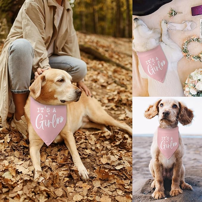 Its a Girl Pink Dog Bandana Baby Announcement Pregnancy Announcement Photo - Image 6