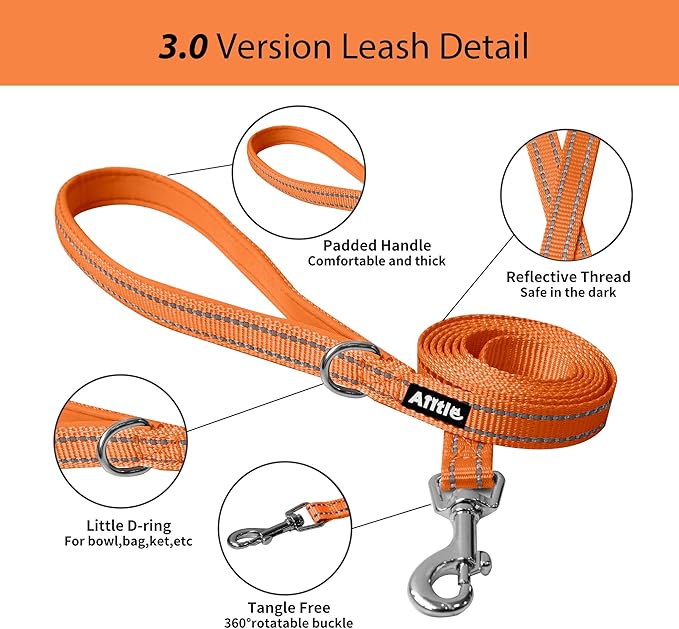AIITLE Step in Dog Harness and Leash Set - Image 2