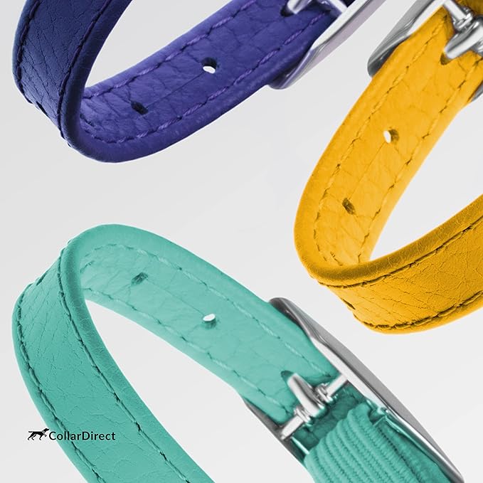 CollarDirect Leather Cat Collar - Image 8