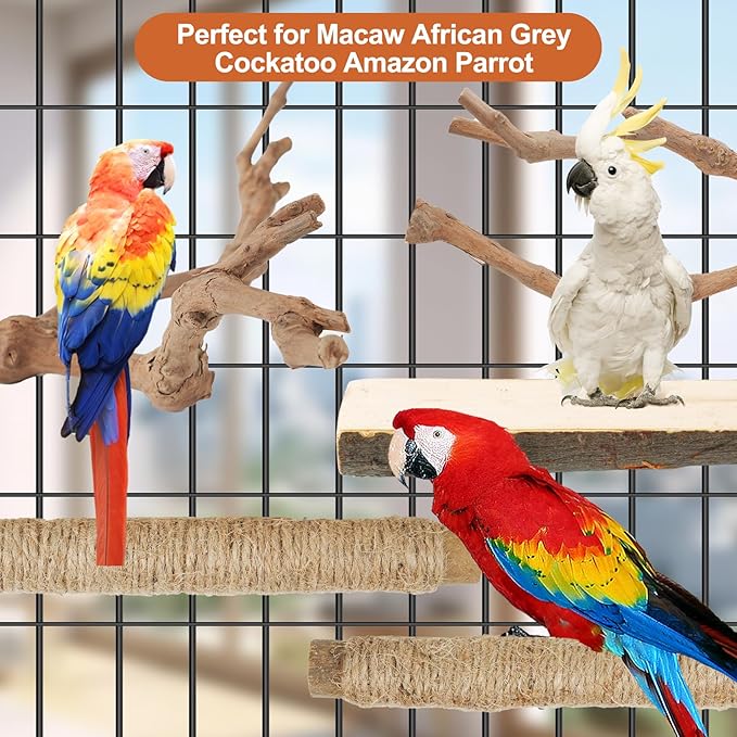 Bird Perch Stand, Pole Standing Natural Wood Bird Perch Set 5PCS Paw Grinding - Image 8