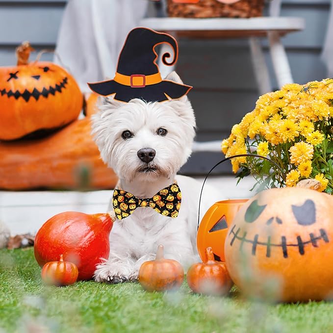 Halloween Dog Bow Tie Collar, Holiday Skull Pumpkin Collar - Image 3