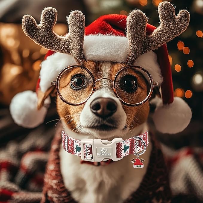 Christmas Dog Collar for Small Dogs - Image 6