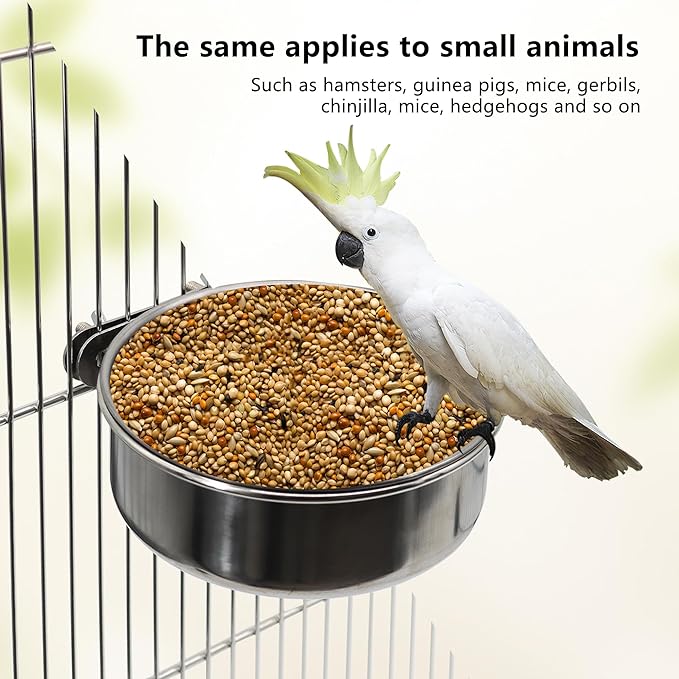 Medium+Large Bird Feeding Dish Cups, Parrot Food Bowl Cage - Image 5