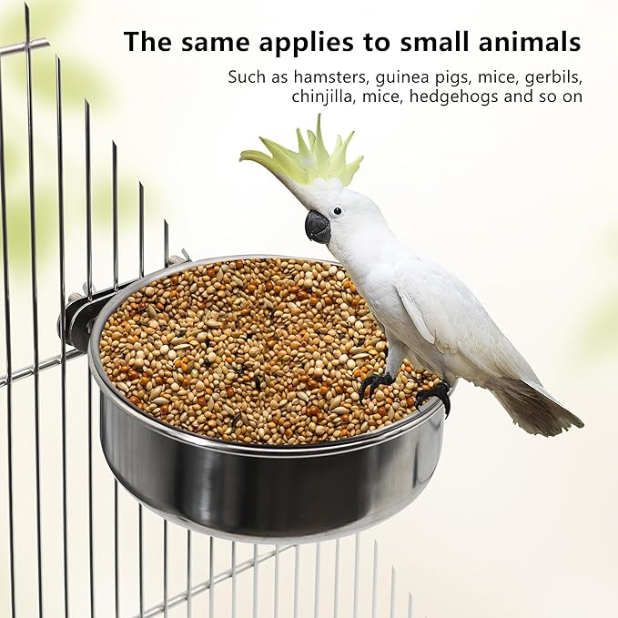 2 Pcs Medium Bird Feeding Dish Cups, Parrot Food Bowl Cage - Image 4