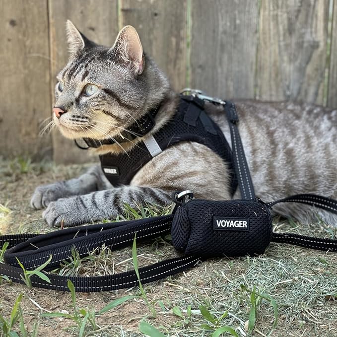 Best Pet Supplies - Image 8