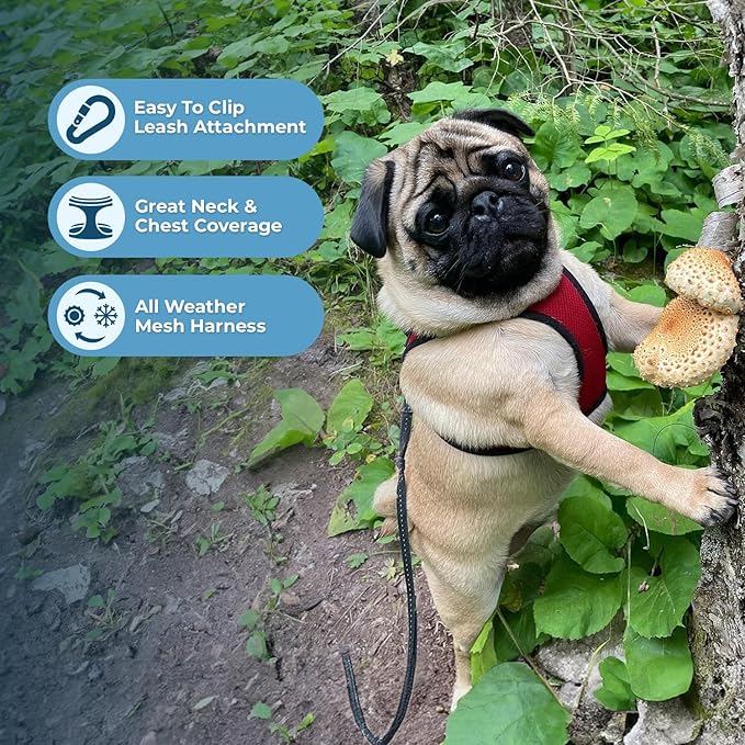 Best Pet Supplies - Image 3