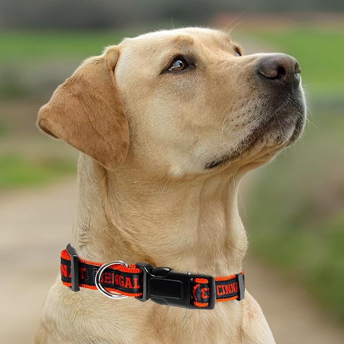 New & Improved Pets First NFL Licensed PET Collar- Heavy-Duty, and Durable New - Image 4