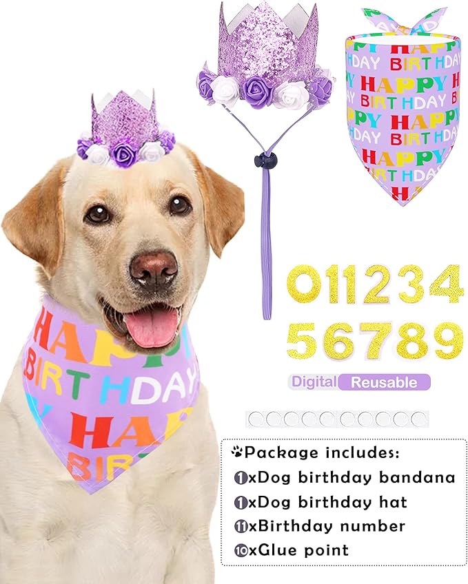PET SHOW Purple Crown Dog Birthday Party Hat - Image 5