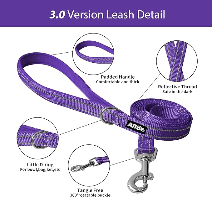 AIITLE No Pull Dog Harness and Leash Set, Step in Adjustable Dog Harness - Image 3