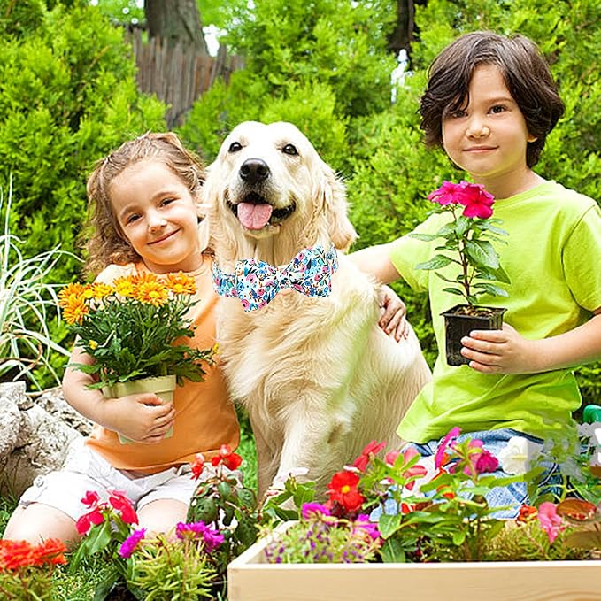 Lionheart glory Dog Collar Bow Collar Floral Dog Collar - Image 5