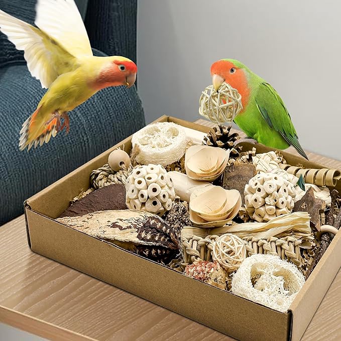 Natural Bird Toy Foraging Parrot Shredding Toys Box Conure Chewing Toys - Image 7