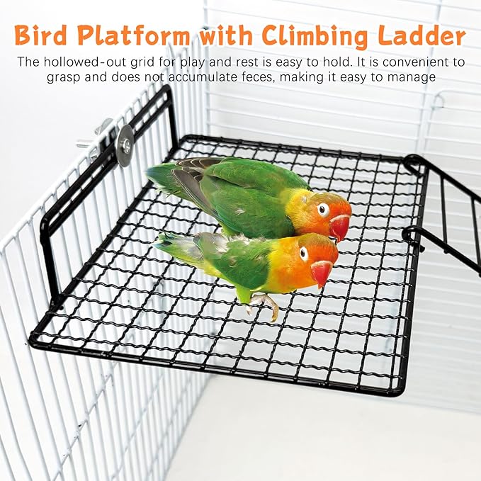 BNOSDM Large Stainless Steel Grid Platform - Image 4