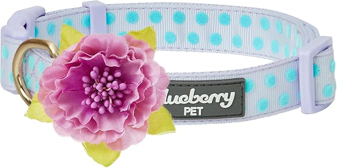 Blueberry Pet Flocking Dog Collar, Small Girl Dog Collar by BlueberryPet