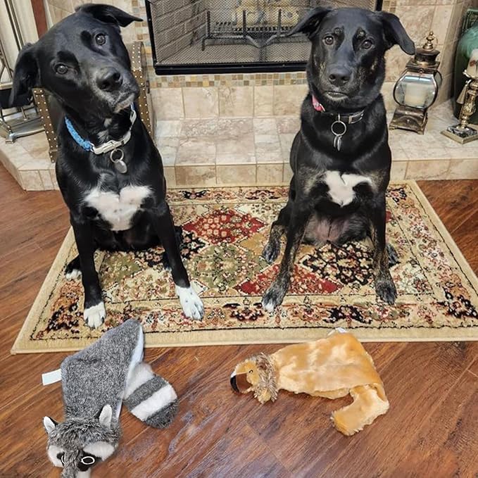 Best Pet Supplies Squeaky Dog Toys - Image 7