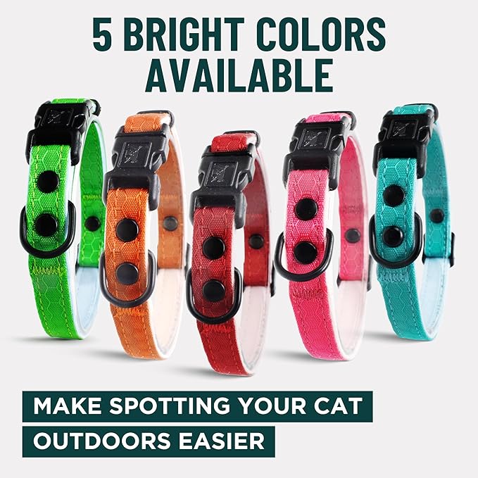 OutdoorBengal Blue Breakaway Kitten Collar - Image 7
