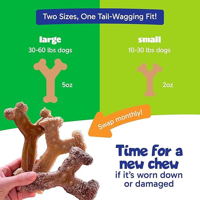 Chew'ems Durable Chewy Dog Toys | Long-Lasting & Flavorful Chew Dog Toys - Image 5