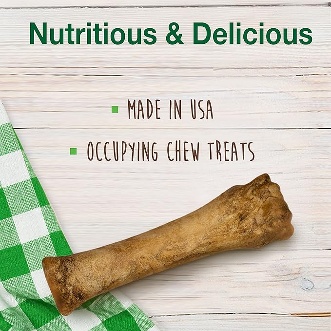 Nylabone Healthy Edibles Natural Dog Chews Long Lasting Bacon Flavor Treats - Image 3