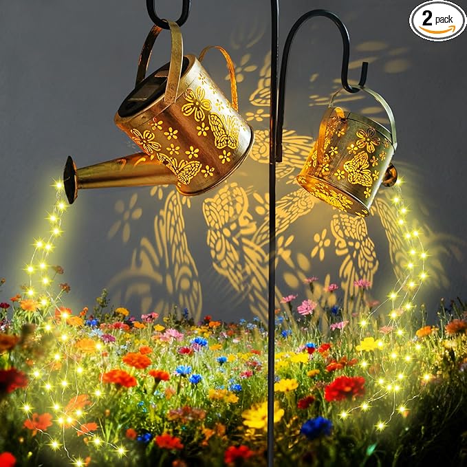 DDQ Solar Watering Can Lights, Warm White/Color LED by Unknown