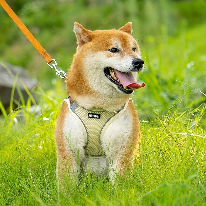 AIITLE Dog Harness, No-Pull Cat Harness - Image 5