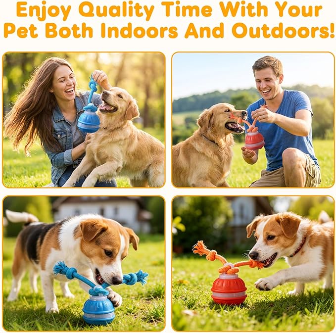 Interactive Dog Toys, Upgraded Motion Activated Rolling Dog Ball Toy - Image 5