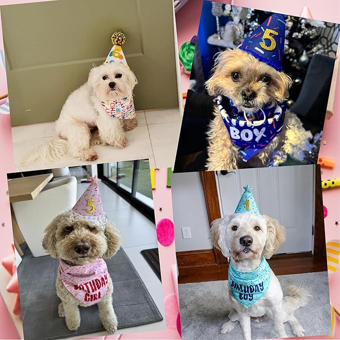 Dog Birthday Bandana Set, HBD Party Supplies - Image 6